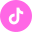TikTok Logo